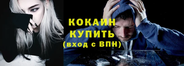 молекула духа Надым