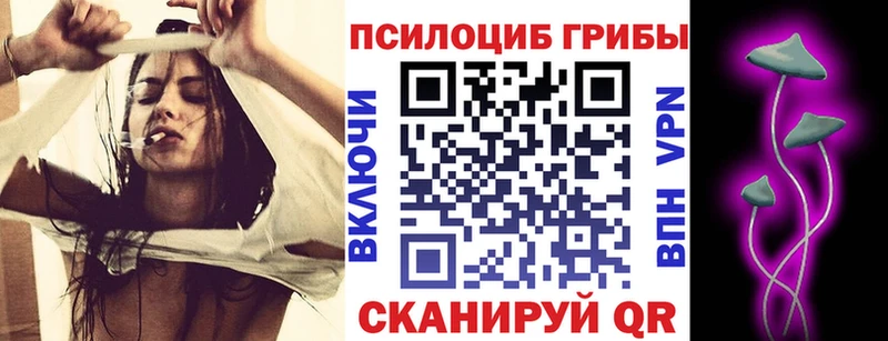 darknet как зайти  Невельск  Галлюциногенные грибы GOLDEN TEACHER 